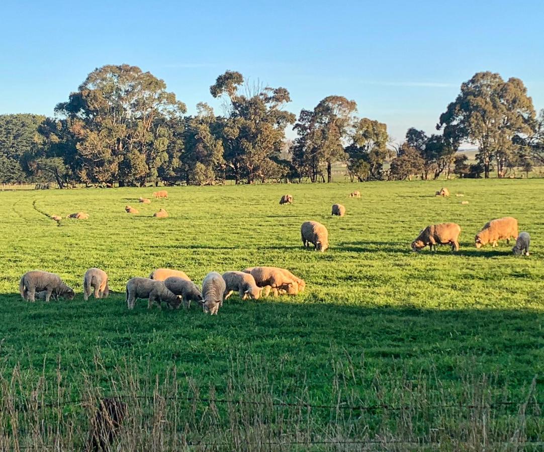 The Lancefield Lodge Lance Field Bagian luar foto